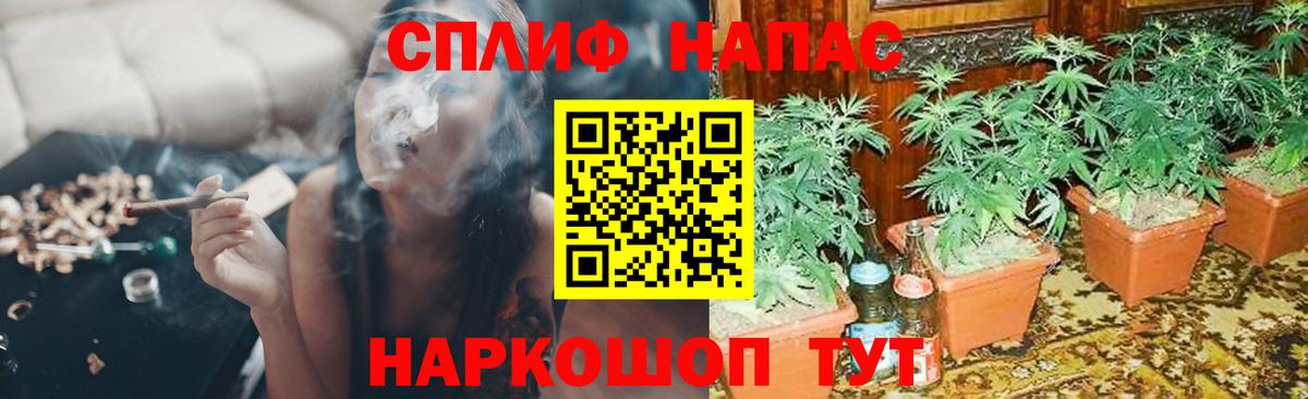 Электросталь  Марихуана планчик  Бошки марихуана VHQ  Конопля White Widow  Вход с VPN 
